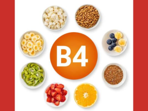 B4-vitamin