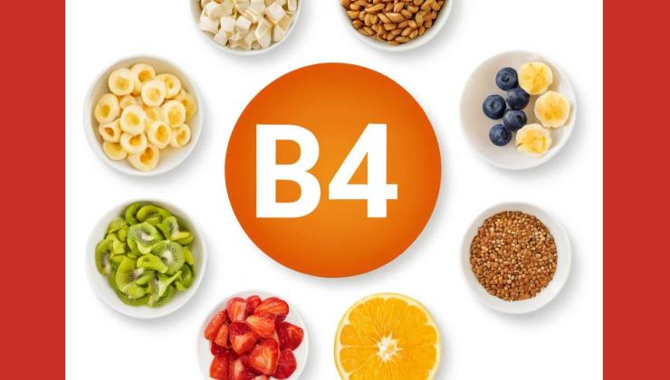 B4-vitamin